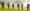Morgan Sindall Group plc and Blenheim Estate launch first Forest Canopy Foundation project