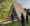 Home Grown Cabin Takes Form