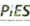 PIES Project Launched