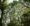 Funding boost for country’s woodlands and timber industry – Woodland Creation Accelerator Fund