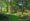 Alvecote Wood: Nurturing Growth with Grown in Britain Certification